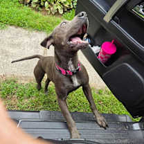 Thumbnail photo of Jess #1