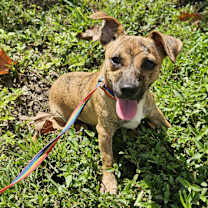 Thumbnail photo of Wilma #2