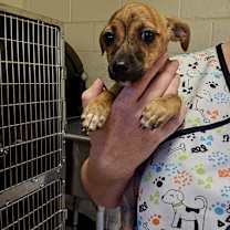 Thumbnail photo of Wilma #4