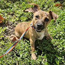 Thumbnail photo of Wilma #3