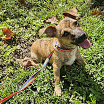 Thumbnail photo of Wilma #1