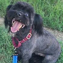 Thumbnail photo of Walton #3