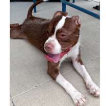 Thumbnail photo of Noodle #3