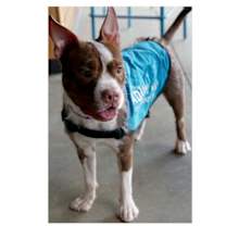 Thumbnail photo of Noodle #4