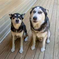 Thumbnail photo of Luka #2