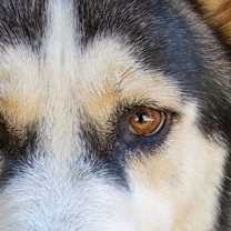 Thumbnail photo of Luka #3