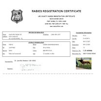 Thumbnail photo of Fritz #2