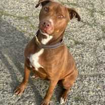 Thumbnail photo of Luna #1