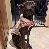 Thumbnail photo of Sasha #1