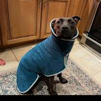 Thumbnail photo of Sasha #4