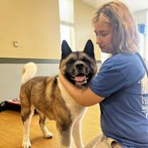 Thumbnail photo of 182067 Kimo #4