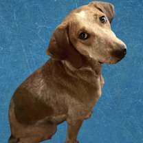 Thumbnail photo of Frieda #3