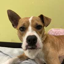 Thumbnail photo of Jaci #1