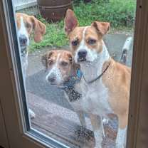 Thumbnail photo of Jaci #2