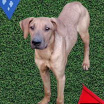 Thumbnail photo of Ty #1