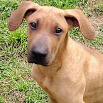 Thumbnail photo of Ty #3