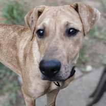 Thumbnail photo of Ty #4