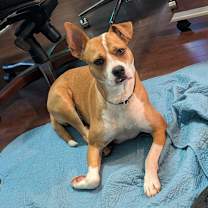 Thumbnail photo of Jaci #3