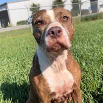 Thumbnail photo of LORNA #1