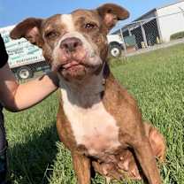 Thumbnail photo of LORNA #2