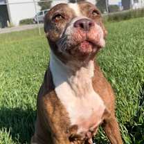 Thumbnail photo of LORNA #3