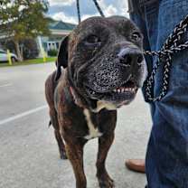 Thumbnail photo of Ol'Man Cletus #2