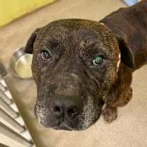 Thumbnail photo of Ol'Man Cletus #3