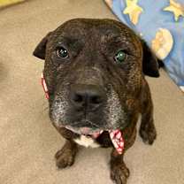 Thumbnail photo of Ol'Man Cletus #4