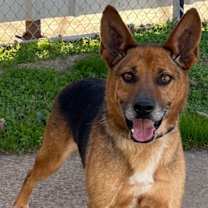 Thumbnail photo of Douglas #1