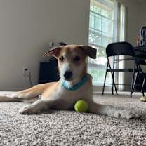 Thumbnail photo of Jakob #2