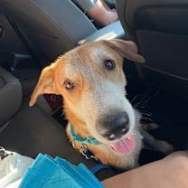 Thumbnail photo of Jakob #3