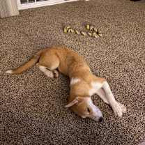 Thumbnail photo of Jakob #4