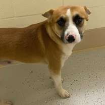 Thumbnail photo of Smudge #4