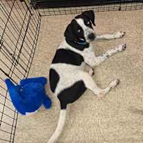 Thumbnail photo of Neymar #3