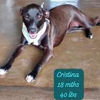Thumbnail photo of Cristina #1