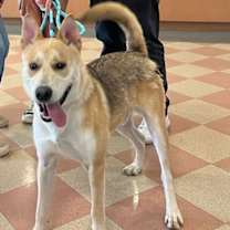 Thumbnail photo of PERRY #1