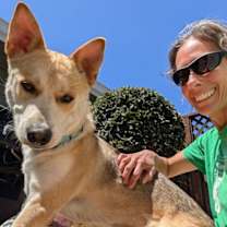 Thumbnail photo of PERRY #2