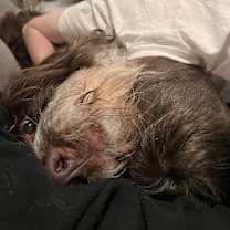 Thumbnail photo of Rio #2