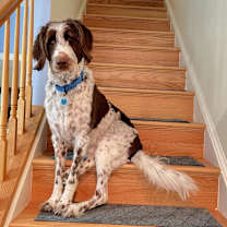 Thumbnail photo of Rio #3