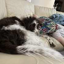 Thumbnail photo of Rio #4