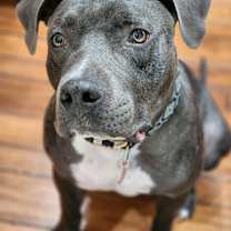 Thumbnail photo of Deez #3