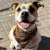 Thumbnail photo of Buffy #1