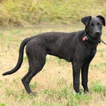 Thumbnail photo of Heather #3