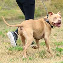 Thumbnail photo of Rudy #3