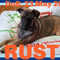 Thumbnail photo of RUSTY #1