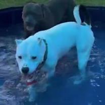 Thumbnail photo of G #2