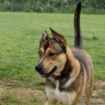 Thumbnail photo of Payaco 1781-24 #3