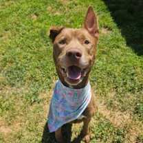 Thumbnail photo of Cruz #4