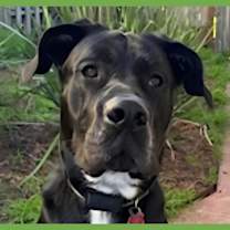 Thumbnail photo of Storm #1