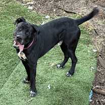 Thumbnail photo of Storm #2